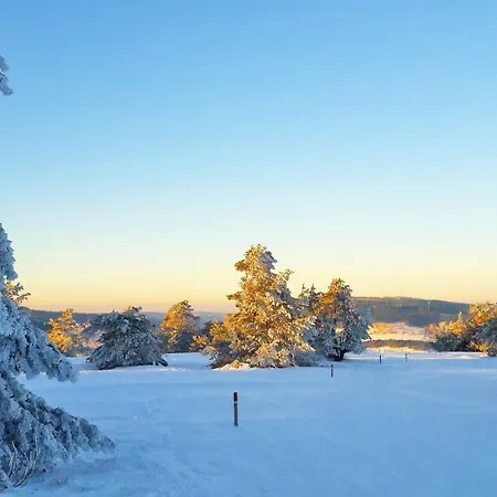 Rosenschloesschen 3*