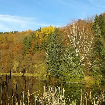 Rosenschloesschen Πανσιόν