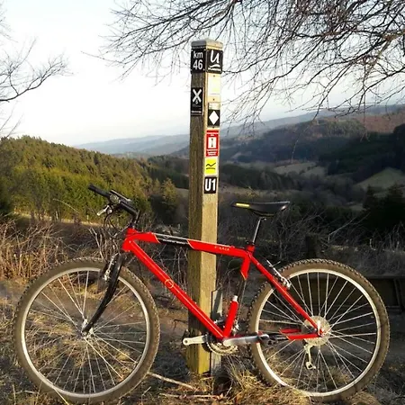 Πανσιόν Rosenschloesschen 3*