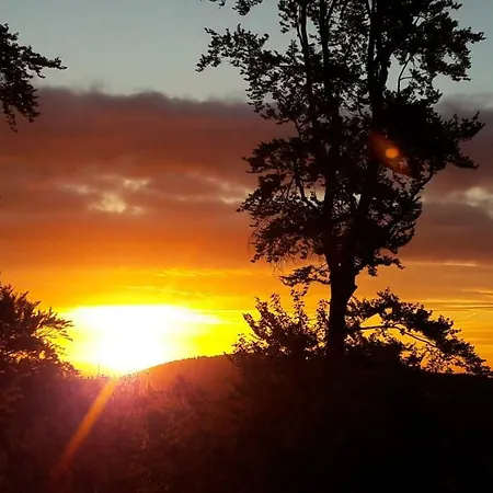 Rosenschloesschen Guest house Willingen (Upland)