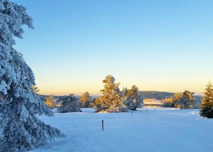 Rosenschloesschen 3*