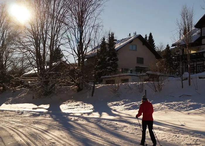 Rosenschloesschen 빌링겐