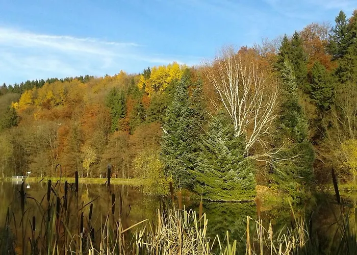 Rosenschloesschen 게스트하우스