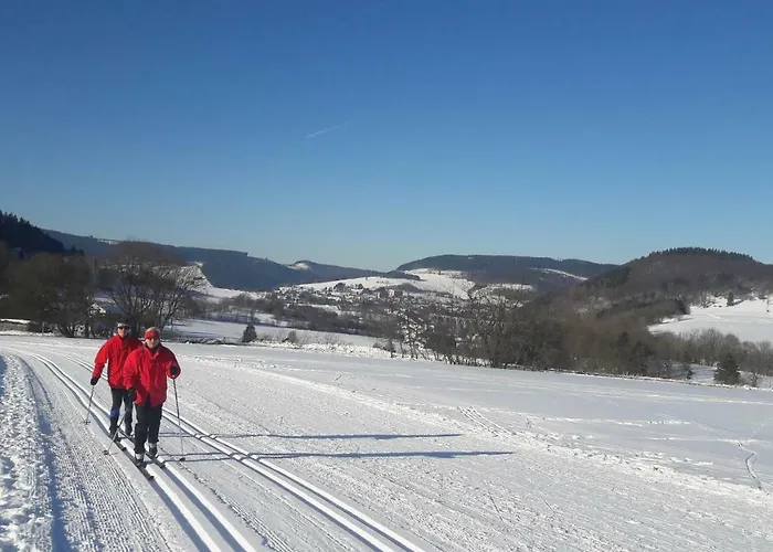 게스트하우스 Rosenschloesschen 3*