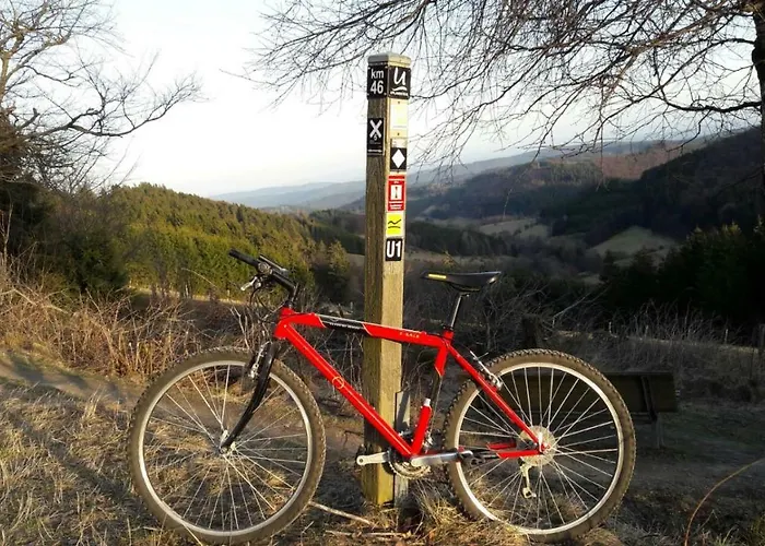 게스트하우스 Rosenschloesschen 3*