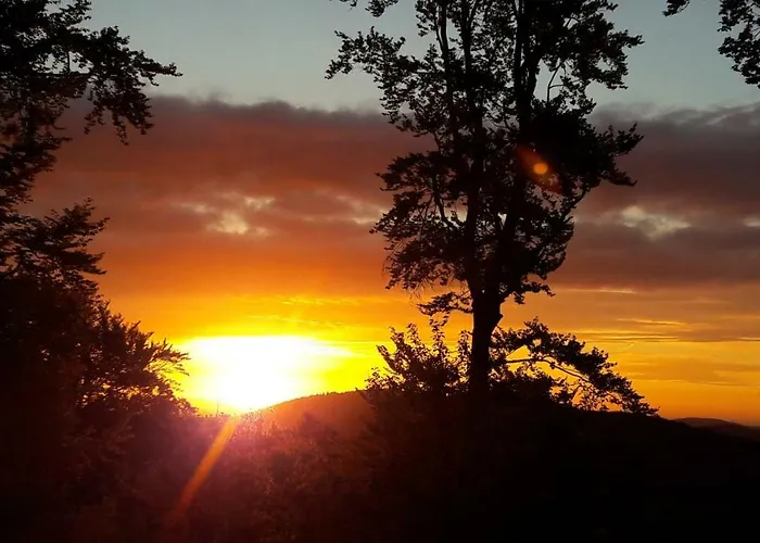 Rosenschloesschen 게스트하우스 빌링겐